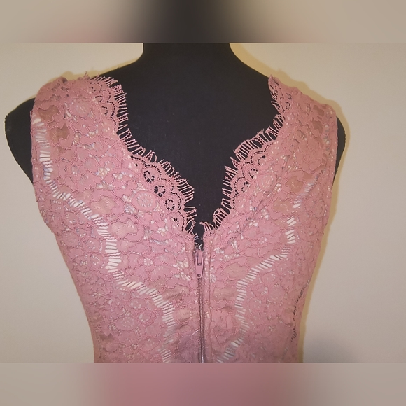 Francesca's V-Neck Low Back Dusty Rose Pink Lace Tulle Dress Size Small - Picture 9 of 16